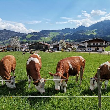 Ferienhaus Weberhof 라이스임알바흐탈 외부 사진