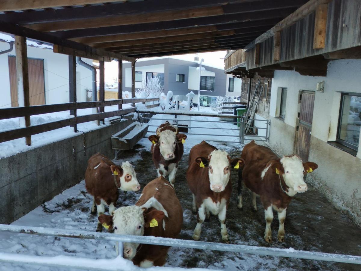 Ferienhaus Weberhof 라이스임알바흐탈 외부 사진